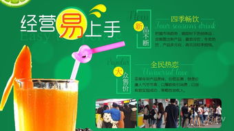 茶果年华饮品店 夫妻创业的投资前景与策略分析